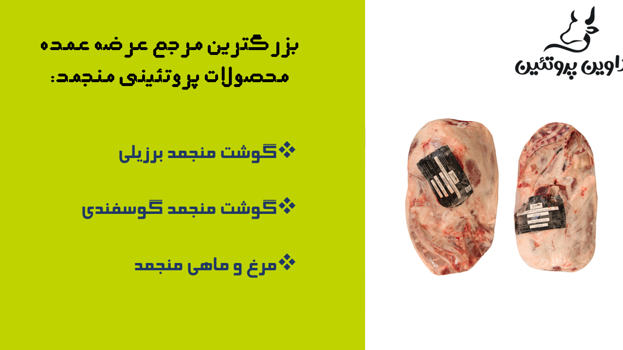 پروتئین-داوین-2024-8-10-58-56