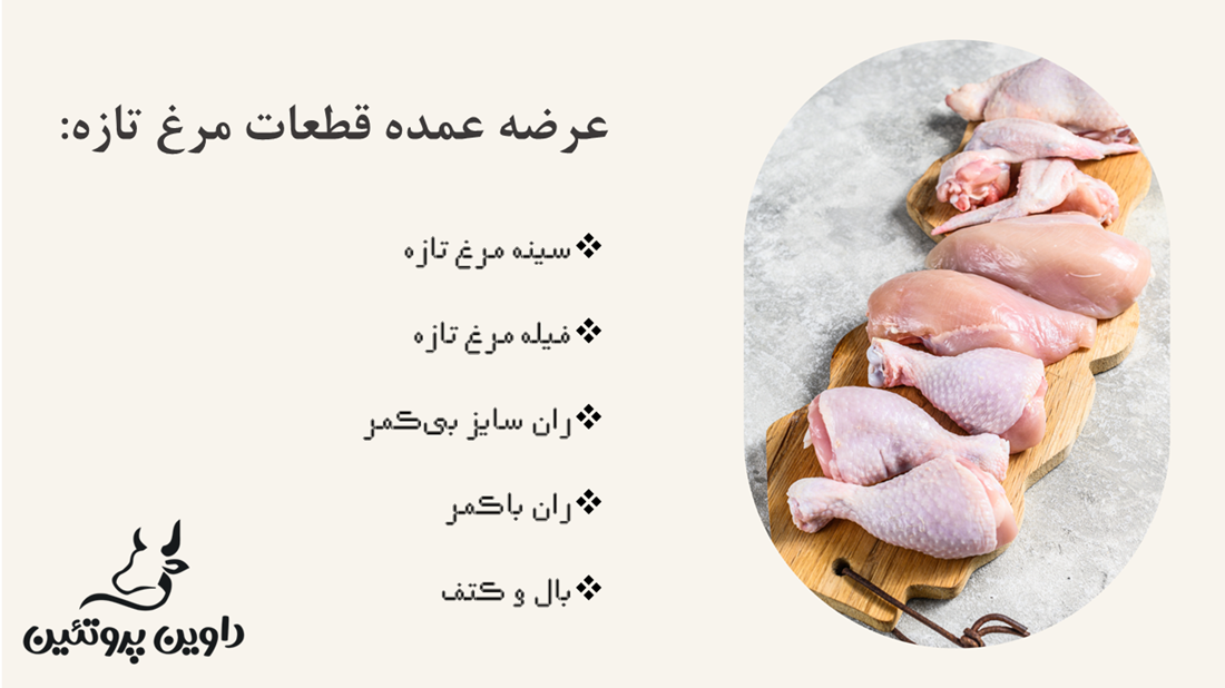 پروتئین-داوین-2024-8-11-10-22